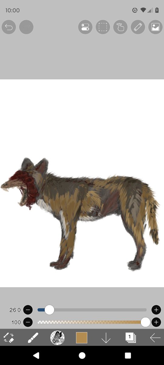 uhhDrMiller's tweet image. Fur loss