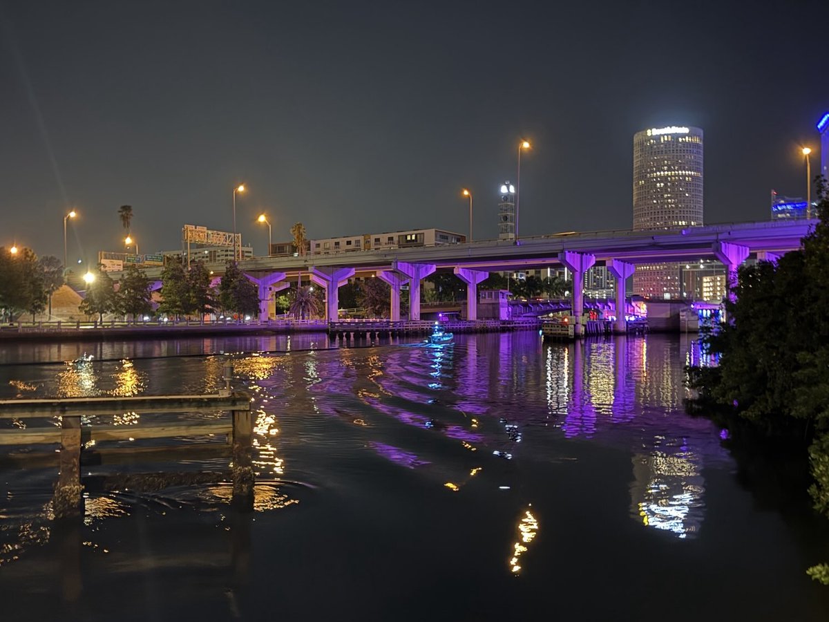 smeraldofiore7's tweet image. Tampa.