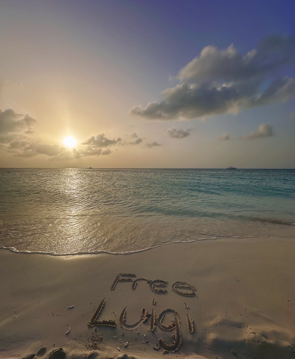 freemangobaby's tweet image. bc he loves sunsets and the beach 💛 #beachesforluigi