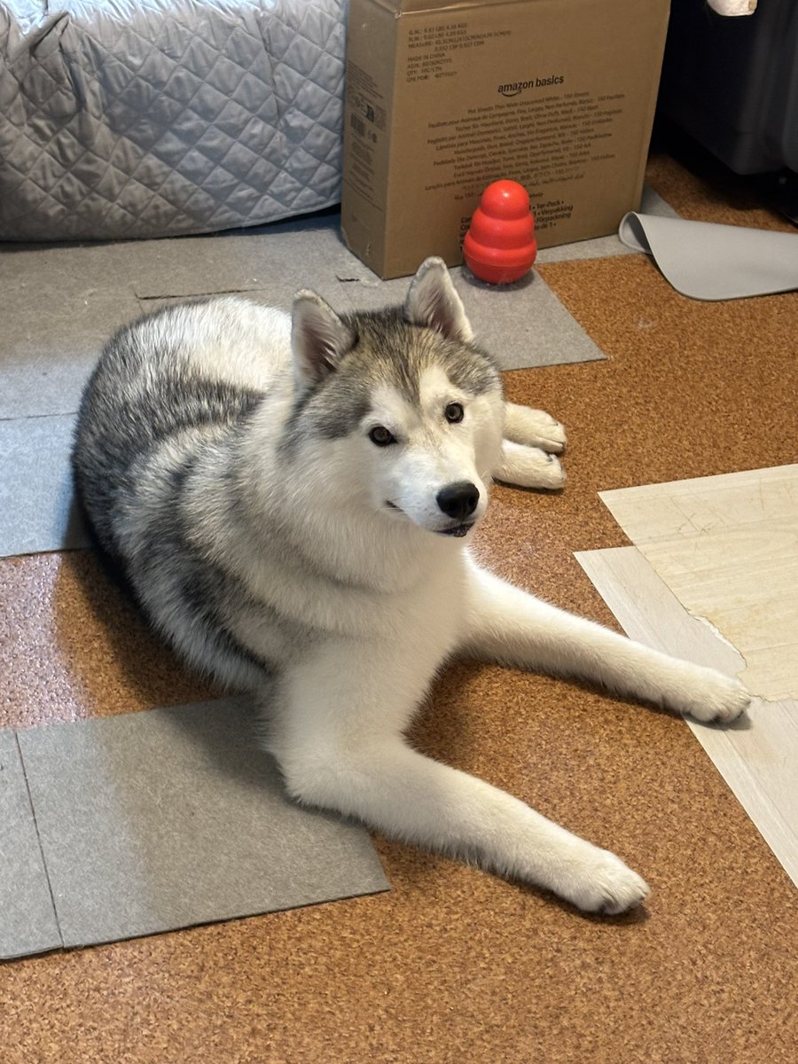 rn2312412's tweet image. 