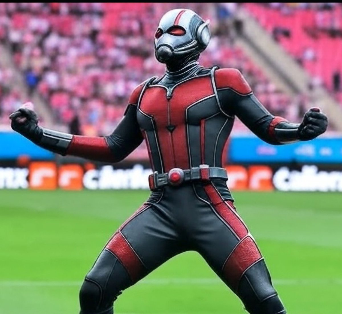 julesgdl's tweet image. Hormigol.