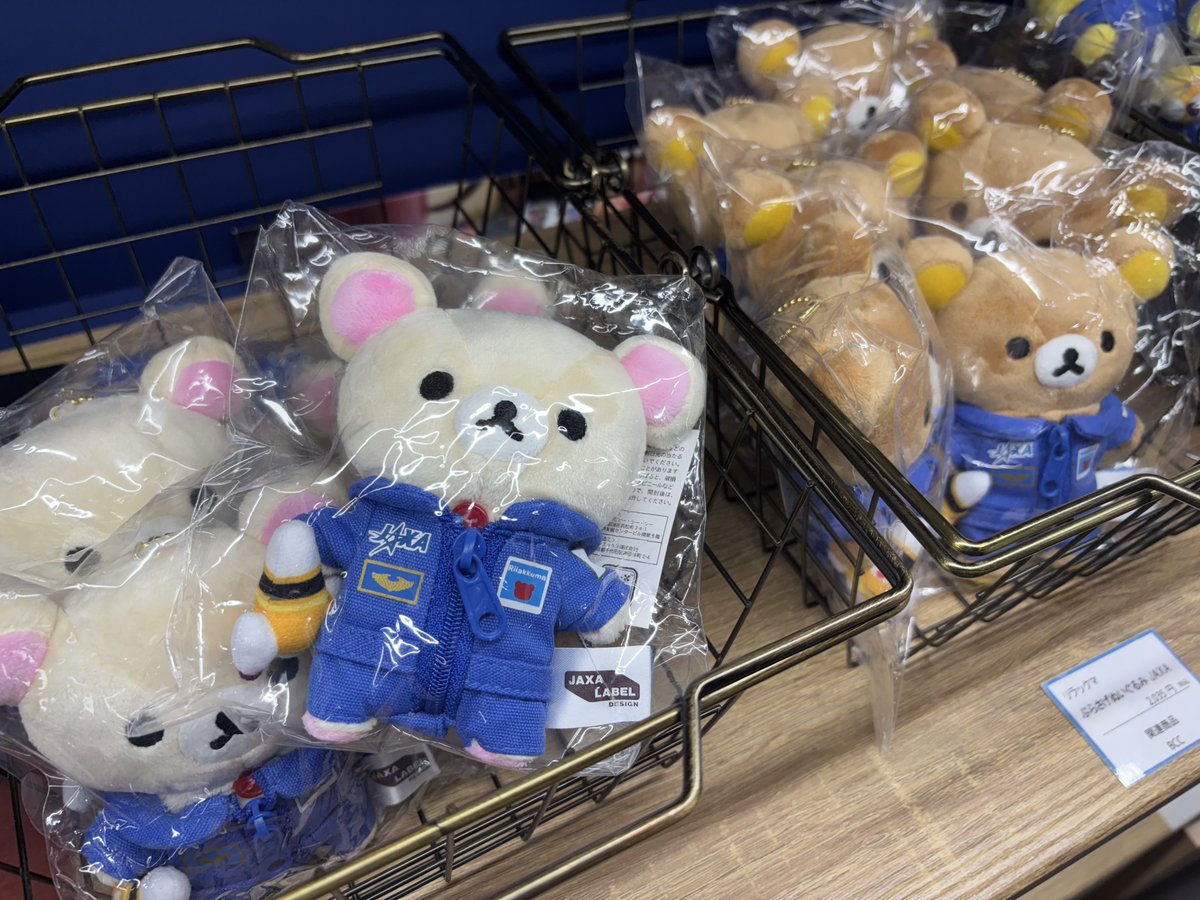 深宇宙展🚀 特設ショップご紹介／ 宇宙を“持ち帰る”体験を
