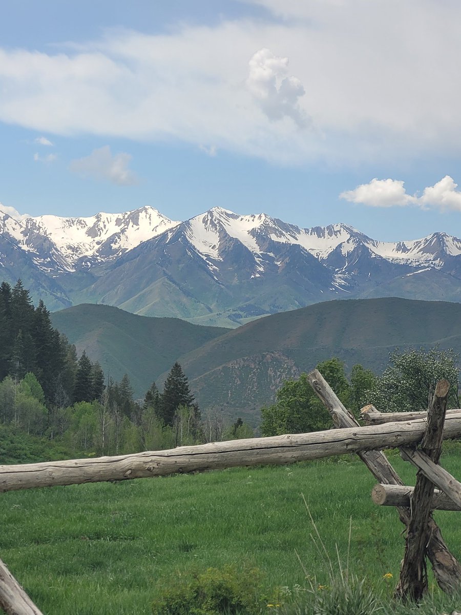 Help_for_teens's tweet image. Good memory from earlier this spring!