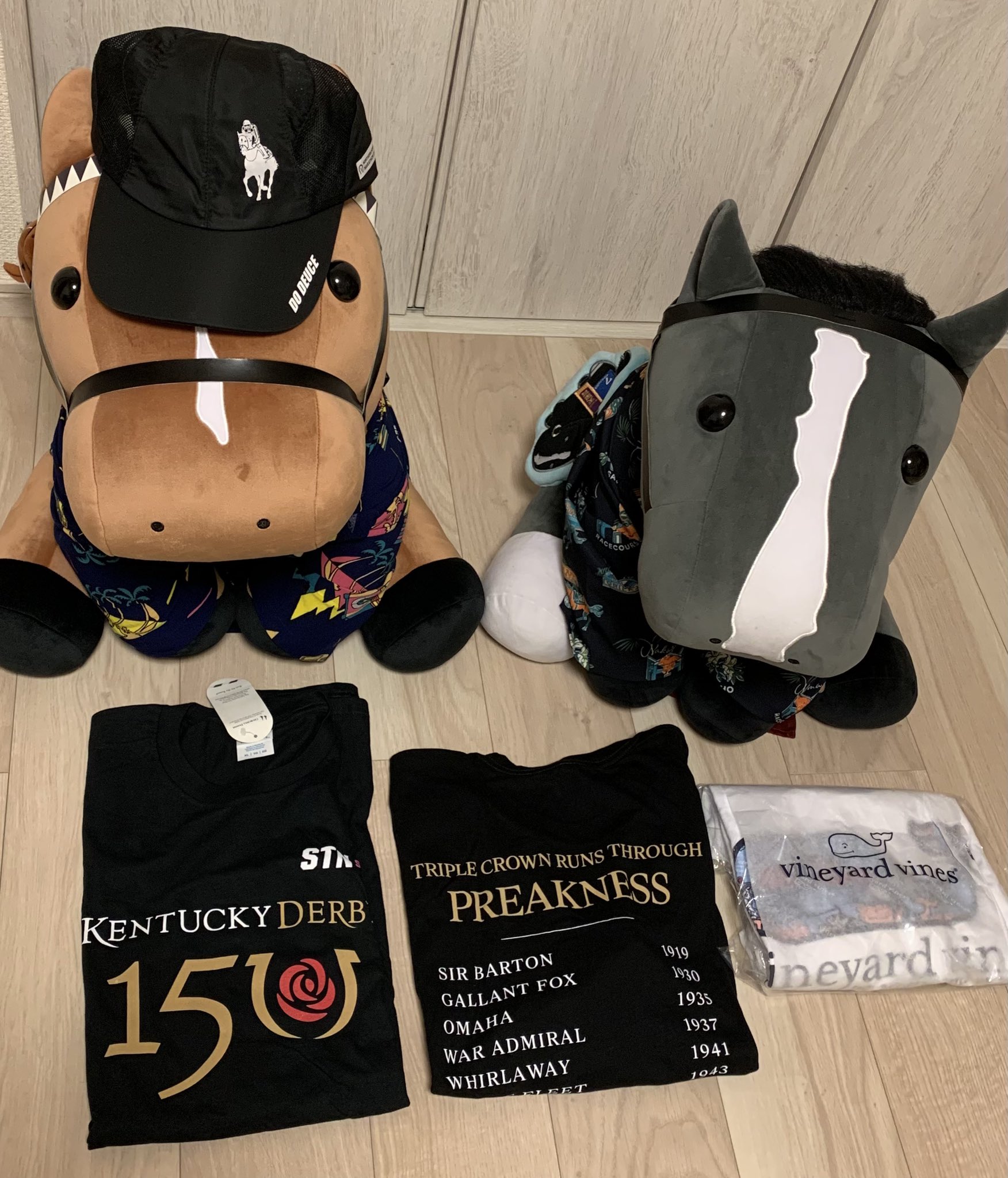 日本ダービー勝馬コルクノベルティ コルクコースター ダノンデサイル 日本ダービー2024 - 競馬