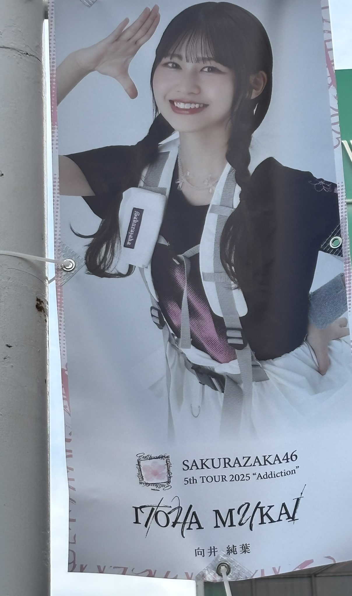 AC(櫻坂46、日向坂46推し) on X: 