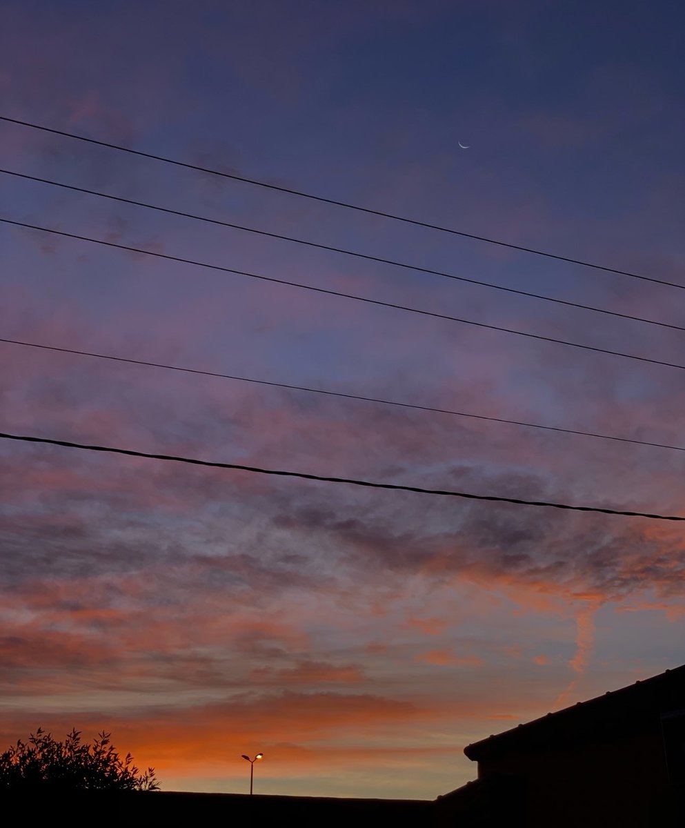 يا وجه الصباح اللي شروقه بداية خير 
        تحلاه عينٍ مالها صدة عنه