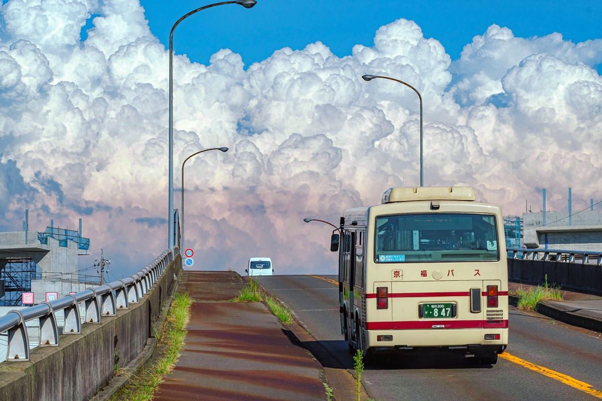 EasternAesth's tweet image. Hop on the bus - destination unknown