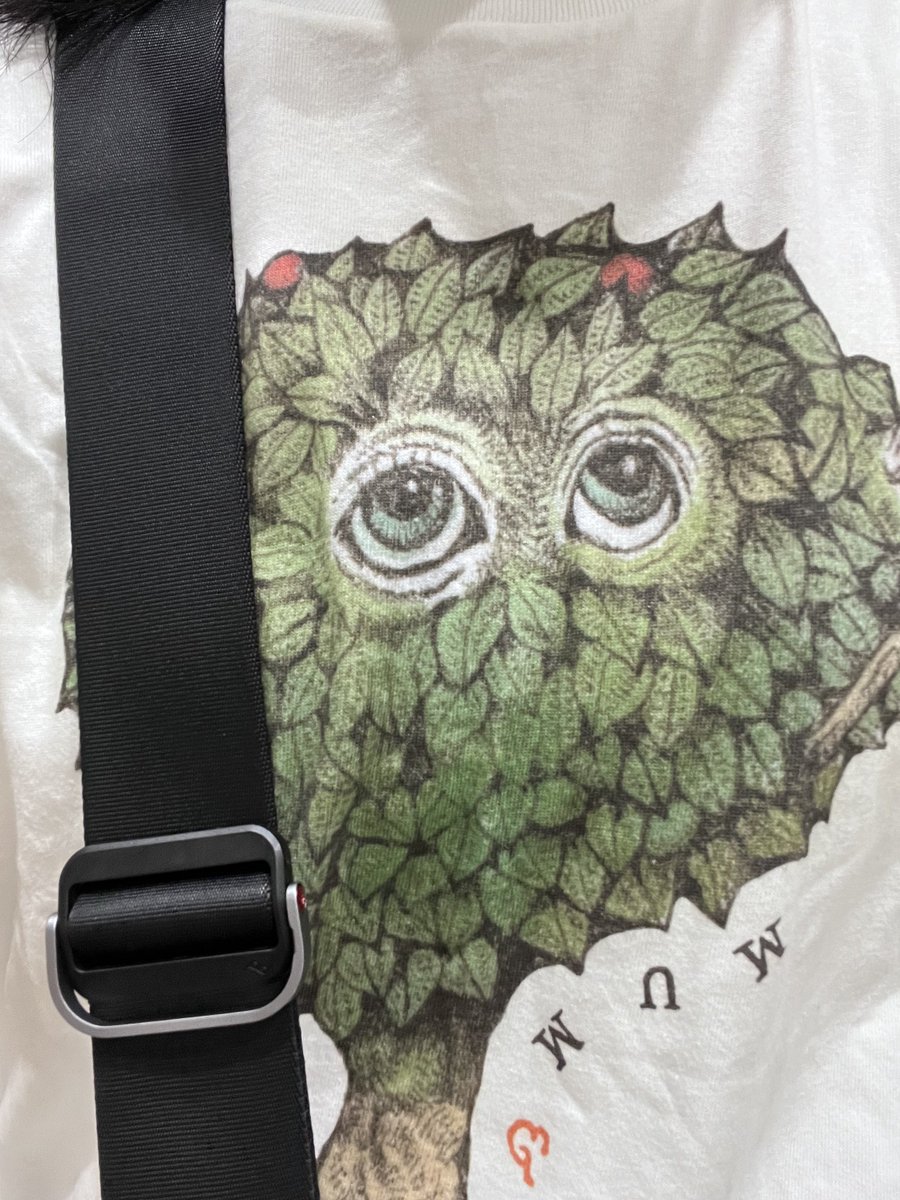 Bismuth833's tweet image. #VPS2025