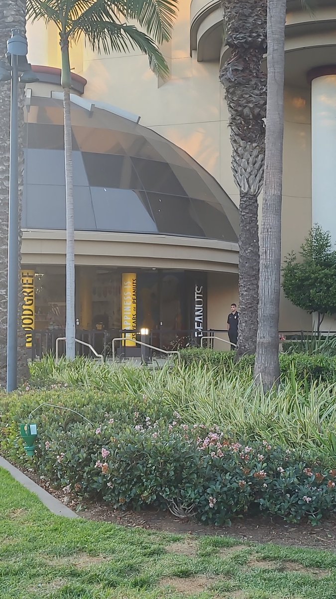 neon_nebula tweet media