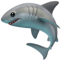 utd_nicoo's tweet image. 🚨🦈 Utd_nicoo to shark fc, here we go! Agreement done and for free agent siging to join #sharkfc.
Initial fee worth £800m on a 6 year deal understand medical will take place in next 24/48h.
Player also said yes to Shark fc Project -