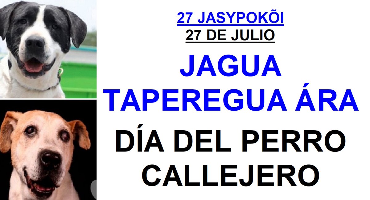 David GaleanoOlivera (@lenguaguarani) on Twitter photo 