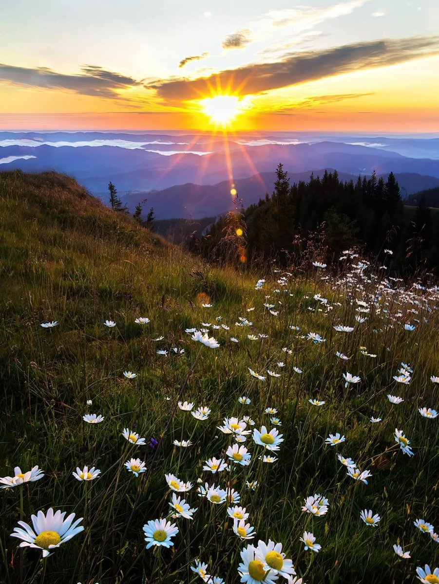 xyzwtf_55's tweet image. Good morning everyone 😊
#photography
#photographer
#sunrise 🇷🇴
#WeekendVibes