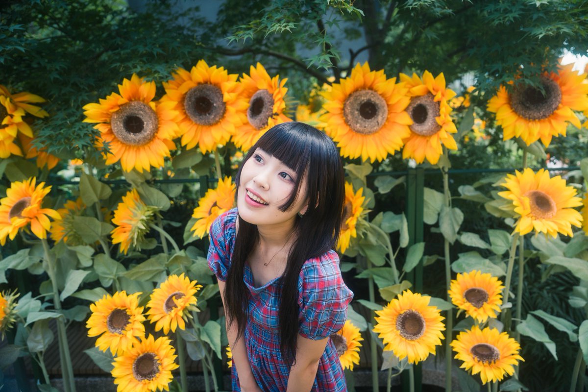 kiba_pic's tweet image. 『暑かった日』

#gallery_no8
