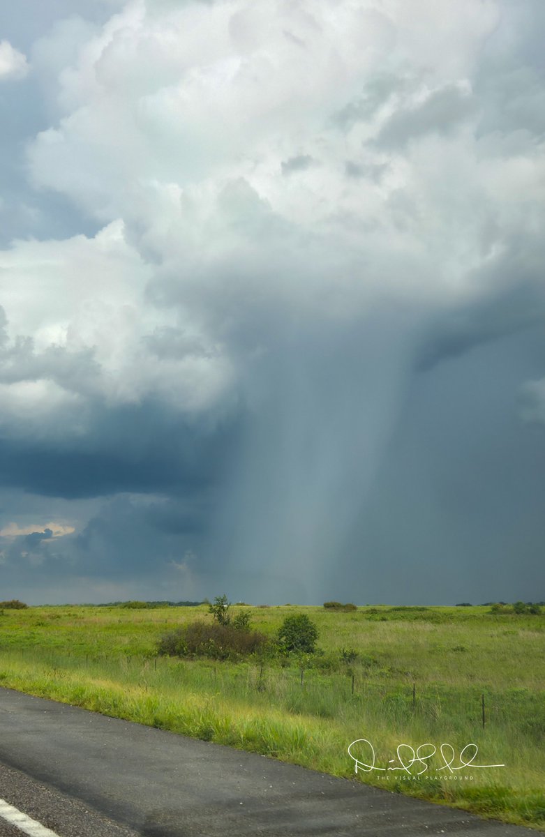 Infiniteredtape (@infiniteredtape) on Twitter photo I took this near Kingdom City, Missouri, around 4:35 pm. It's not a tornado, but what is it? <a href="/scottontvKSDK/">Scott Connell on KSDK</a> <a href="/tvalwx/">Tracy Hinson</a> <a href="/GFrankTV/">Garry Frank</a> <a href="/SteveTempleton/">Steve Templeton</a> <a href="/KristenRCornett/">Kristen Cornett</a> <a href="/zimmtv/">Glenn Zimmerman</a> <a href="/AngWxGrl/">Angela Hutti</a> <a href="/fox2ch/">Chris Higgins</a> <a href="/NWS/">National Weather Service</a> <a href="/NWSSPC/">NWS Storm Prediction Center</a> I took this near Kingdom City, Missouri, around 4:35 pm. It's not a tornado, but what is it? <a href="/scottontvKSDK/">Scott Connell on KSDK</a> <a href="/tvalwx/">Tracy Hinson</a> <a href="/GFrankTV/">Garry Frank</a> <a href="/SteveTempleton/">Steve Templeton</a> <a href="/KristenRCornett/">Kristen Cornett</a> <a href="/zimmtv/">Glenn Zimmerman</a> <a href="/AngWxGrl/">Angela Hutti</a> <a href="/fox2ch/">Chris Higgins</a> <a href="/NWS/">National Weather Service</a> <a href="/NWSSPC/">NWS Storm Prediction Center</a>