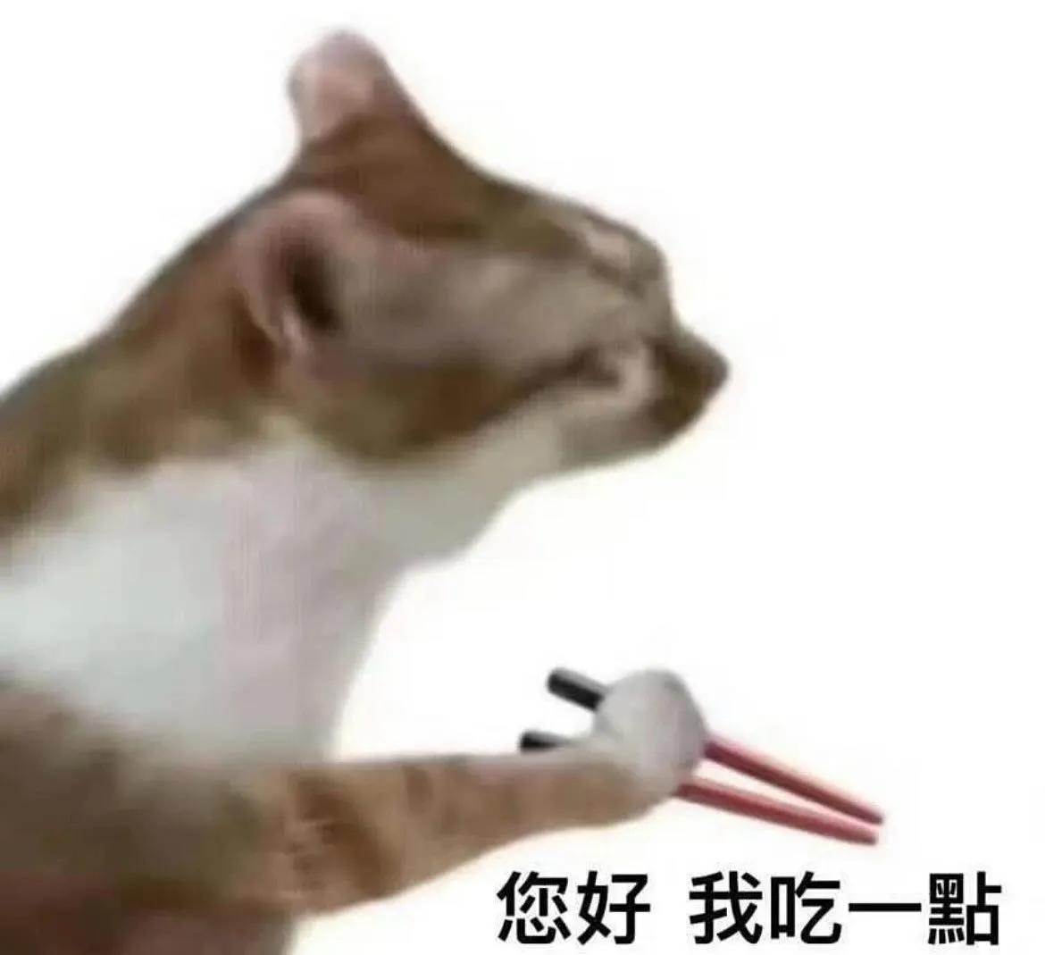 lilylily_s's tweet photo. 就算是韓國人也會筷子貓化 https://t.co/z12M8VT5iz