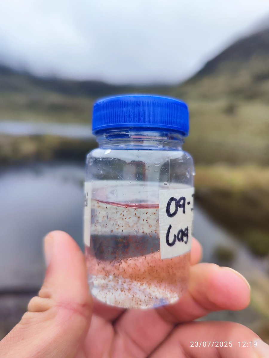 UdesaUptc's tweet photo. Iniciamos fase de campo proyecto determinantes ecológicos en lagunas Cazadero y Ojo de Agua en SFF  Iguaque, junto con funcionarios de Parques Nacionales Naturales...toda una aventura de exploración limnológica en las altas cumbres de Los Andes. Ya les contaremos... https://t.co/8wIy0jEveW