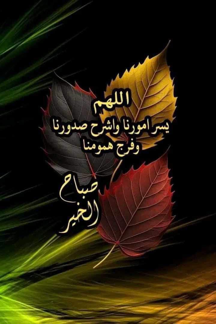 “حينما يشع الأمل في القلب، تتبدد الظلمات، ويصبح المستحيل بداية جديدة لكل نجاح.” 🌱
#صباح_الخير 
#صباح_الخير_والسعاده