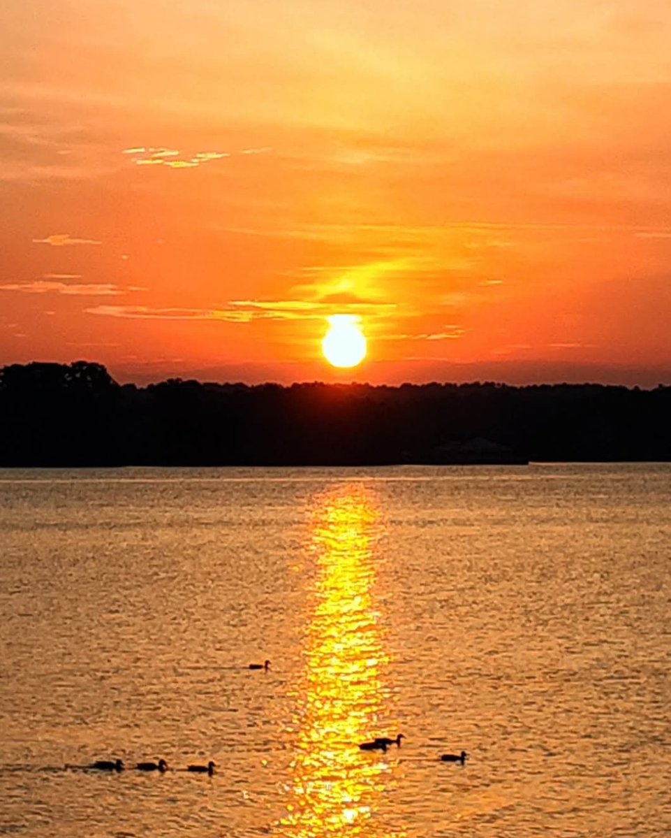 garryhamm1's tweet image. Share a recent July photo!!