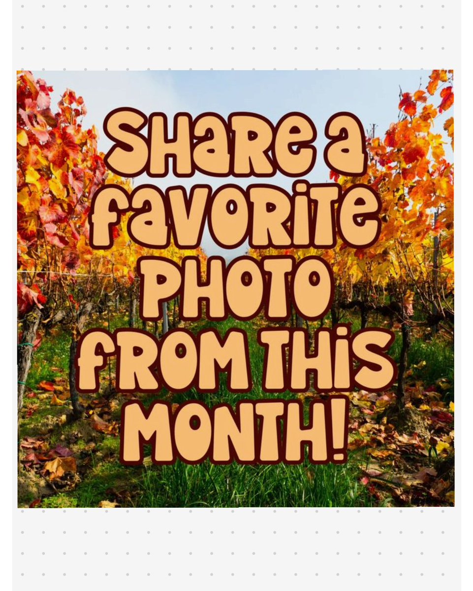 garryhamm1's tweet image. Share a recent July photo!!