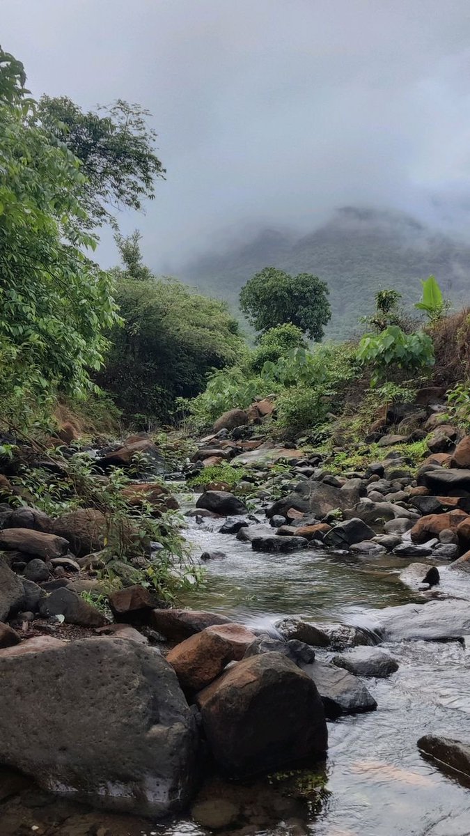 maxblackirl's tweet image. Living in Maharashtra and not doing road trips in July is like being in Italy and eating Maggi