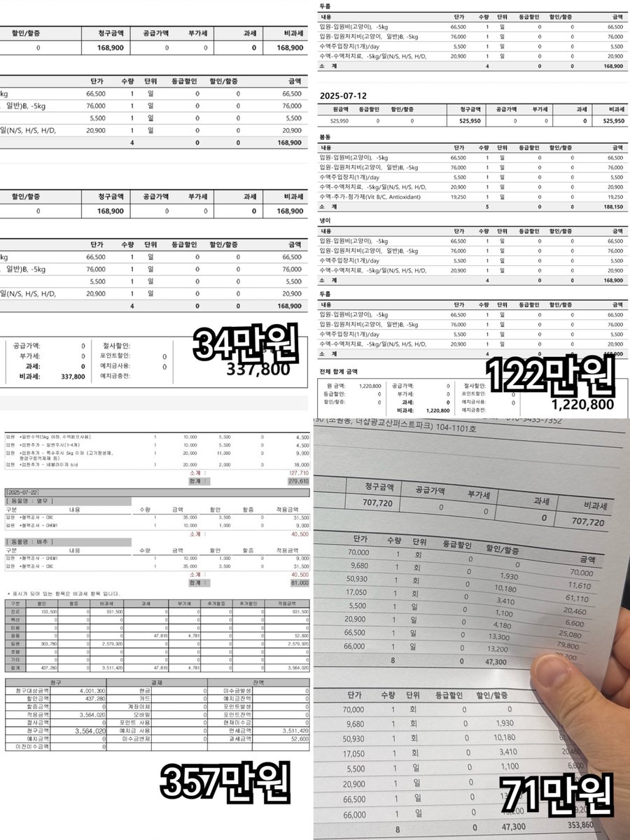 nugabanunu's tweet image. 산불지역에서 구조한 만삭묘의 아이들이 범백이라고 합니다.
그렇게 입양홍보 사진이 영정사진이 되었습니다.
회충 치료차 입원한 병원에서 옮은 것으로 추정되고 퇴원 후 4일만에 넷이 떠났습니다.
그 후 저에게 남은건 극심한 무력감과 712만원의 치료비입니다.
📌국민 270101-04-022888ㄱㄷㅇ