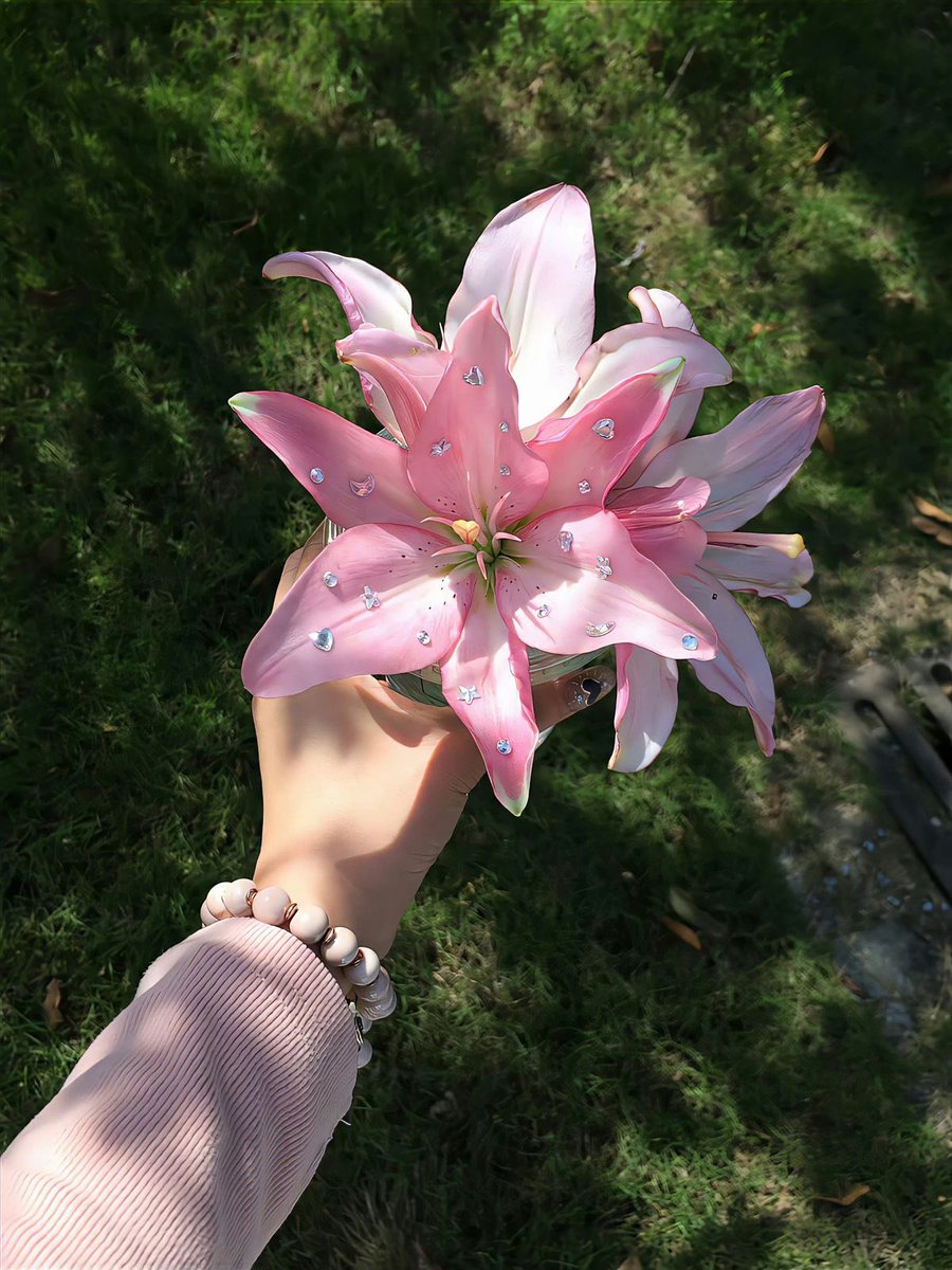 Flowers (@flowers489) on Twitter photo 