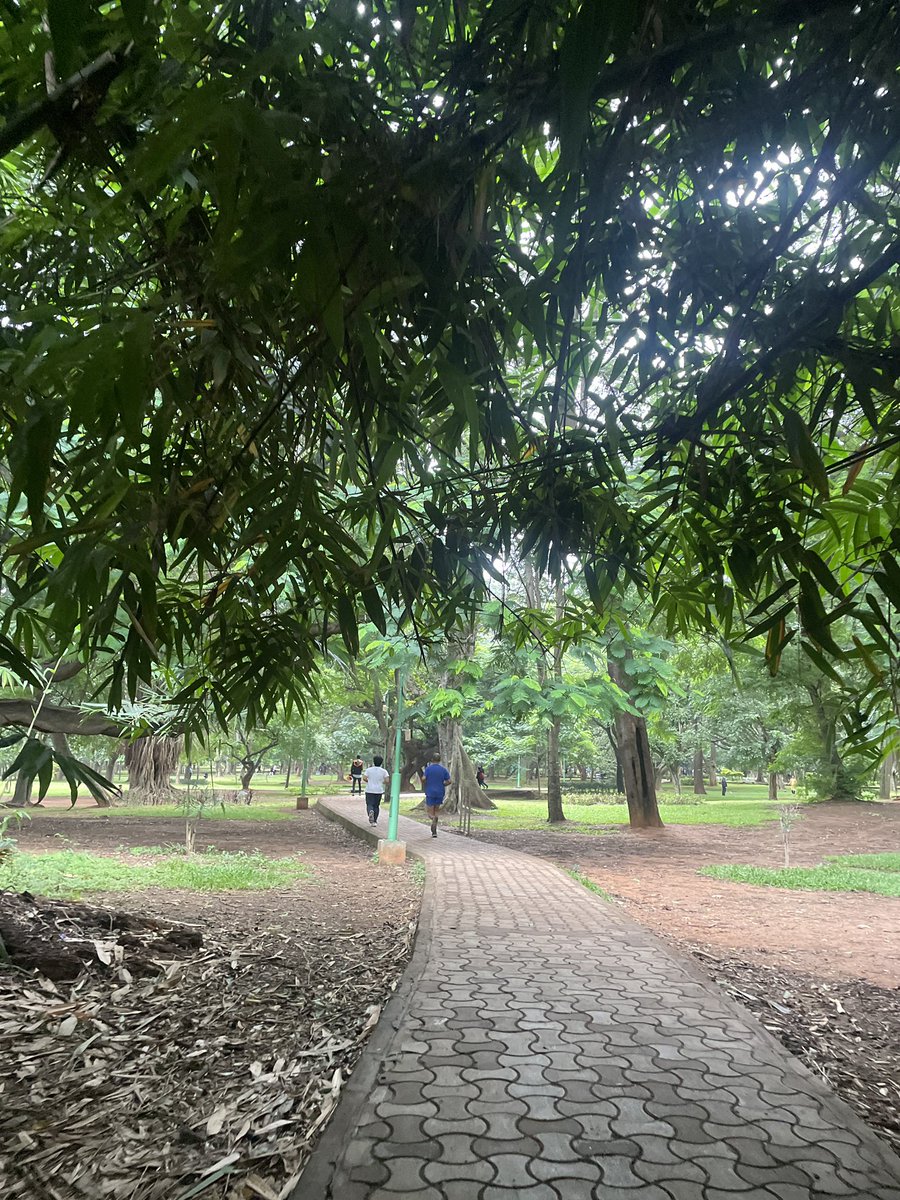 What a beautiful day to be running at <a href="/cubbon_run/">Cubbon Run</a>!