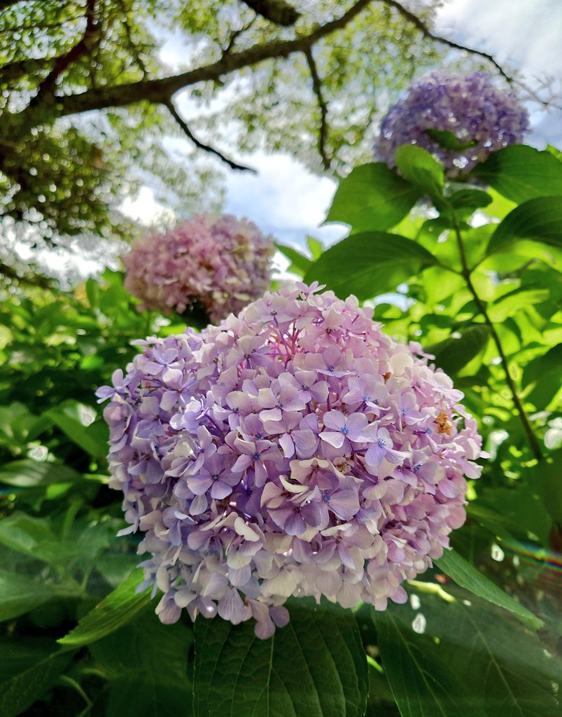 8341195's tweet image. 