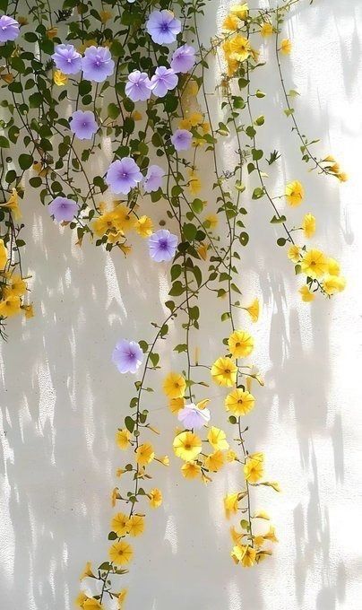 F L O W E R S 🍀🌸 (@_flowerss1) on Twitter photo 