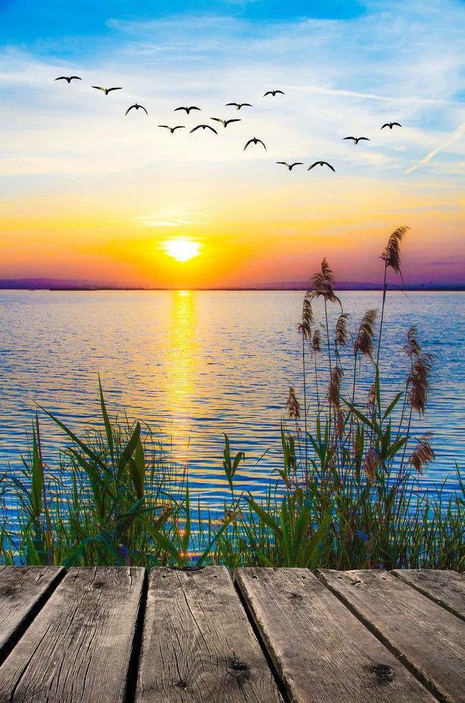 JESSICA X.🎸 (@onmyway55661) on Twitter photo 