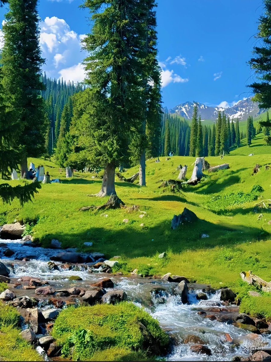 新疆-闯入油画般的夏天，美到不想回家 北疆的魔力在于——当你站在喀纳斯湖边的晨雾里，会突然理解为什么图瓦人相信湖水是神仙打翻的砚台。这里的美太过磅礴，以至于任何相机都只能带走它千万分之一的灵魂。