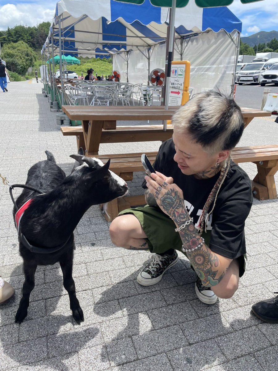 🐐🐐🐐🐐🐐🐐🐐