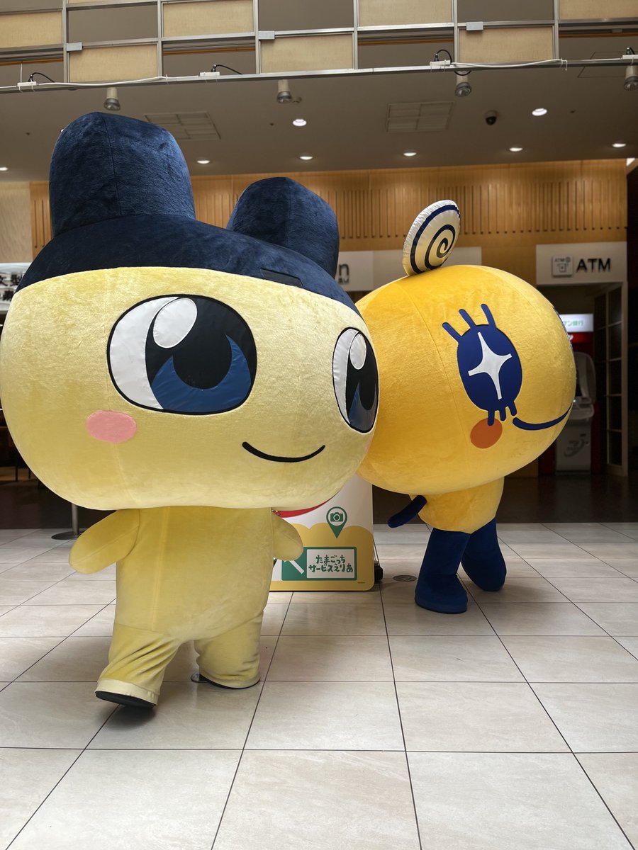 Tama_ll11's tweet image. はーーーーーーーーーーーー