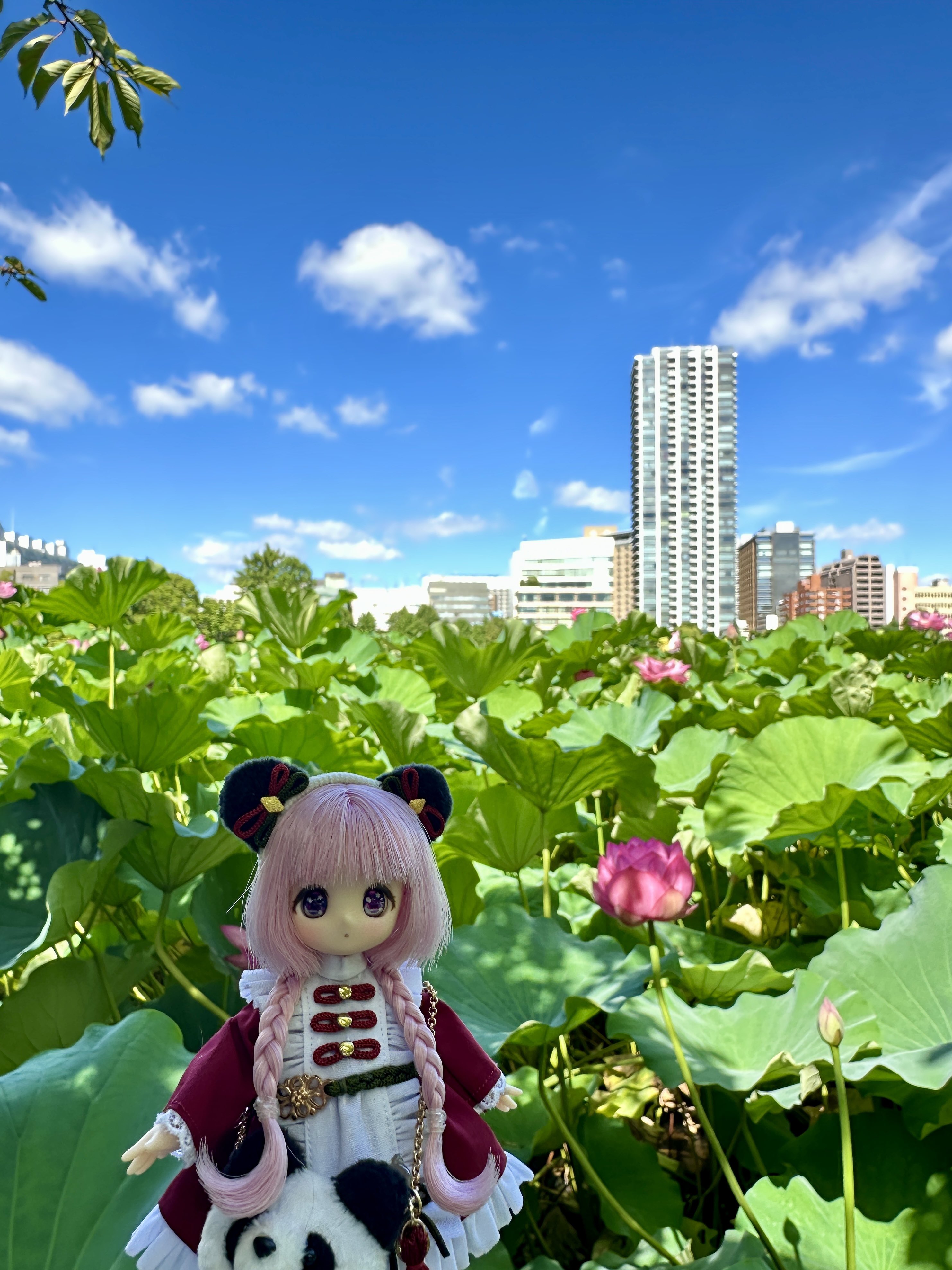 Memoire canette メモワールカネット1/12 オビツ11 あまむす Memoire canette メモワールカネット1/12 オビツ11 あまむす
