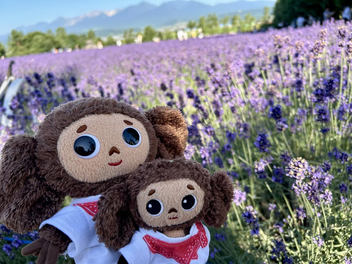 Cheburashka_ak0's tweet photo. ②小樽→富良野へ https://t.co/qRco8H1hsR