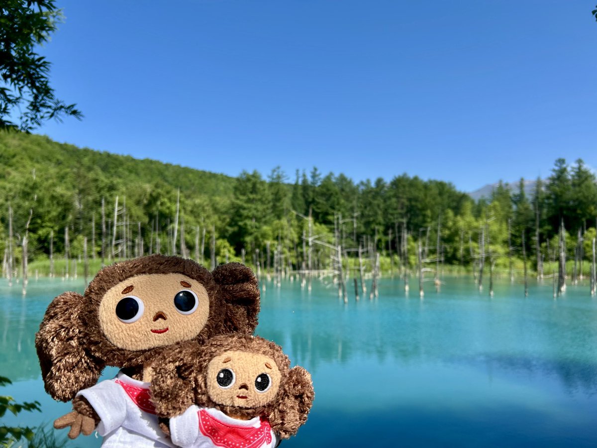 Cheburashka_ak0's tweet photo. ②小樽→富良野へ https://t.co/qRco8H1hsR