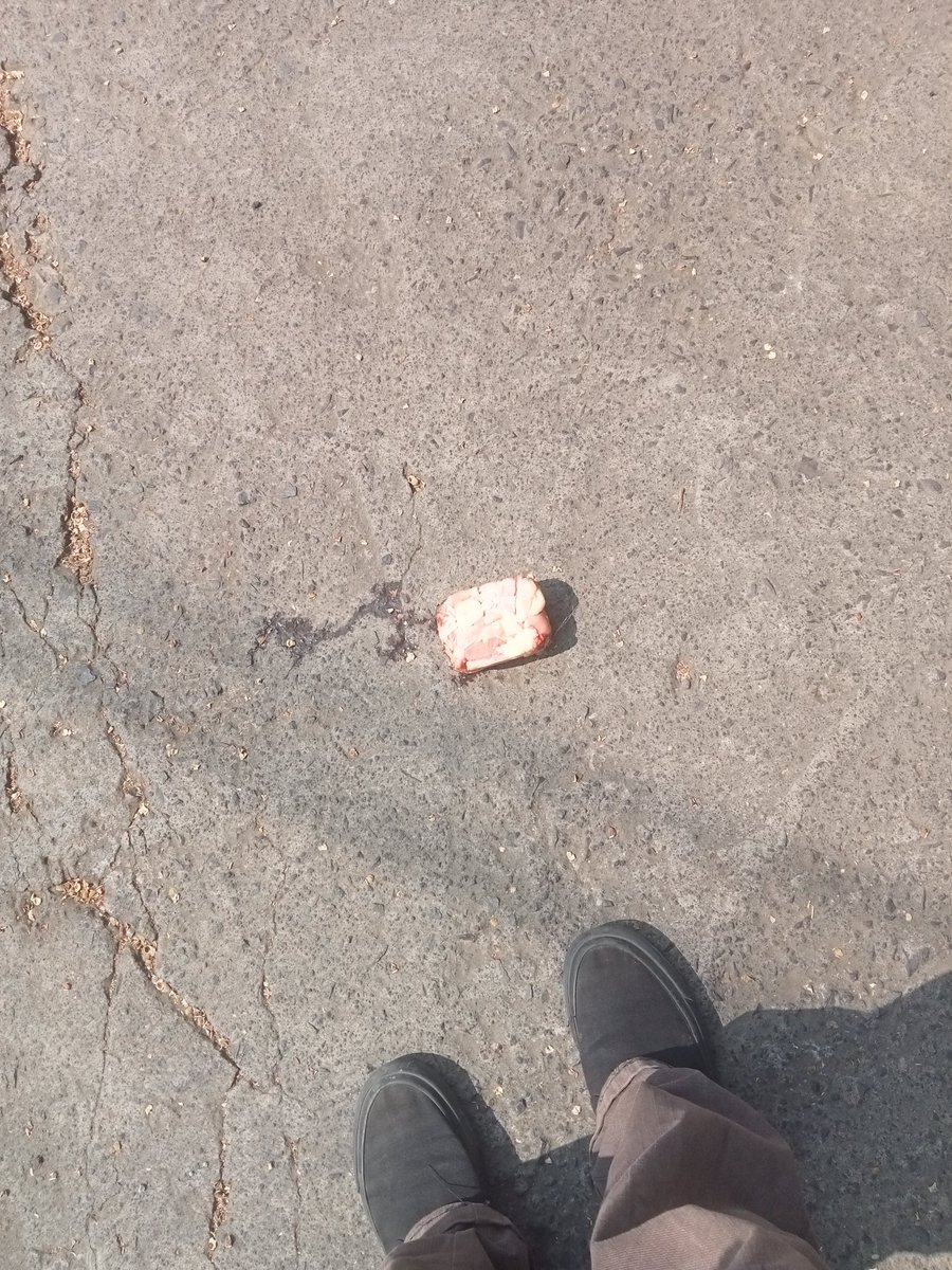loiitea_'s tweet image. why is there a random slab of raw meat on the ground 😭😭😭😭😭😭