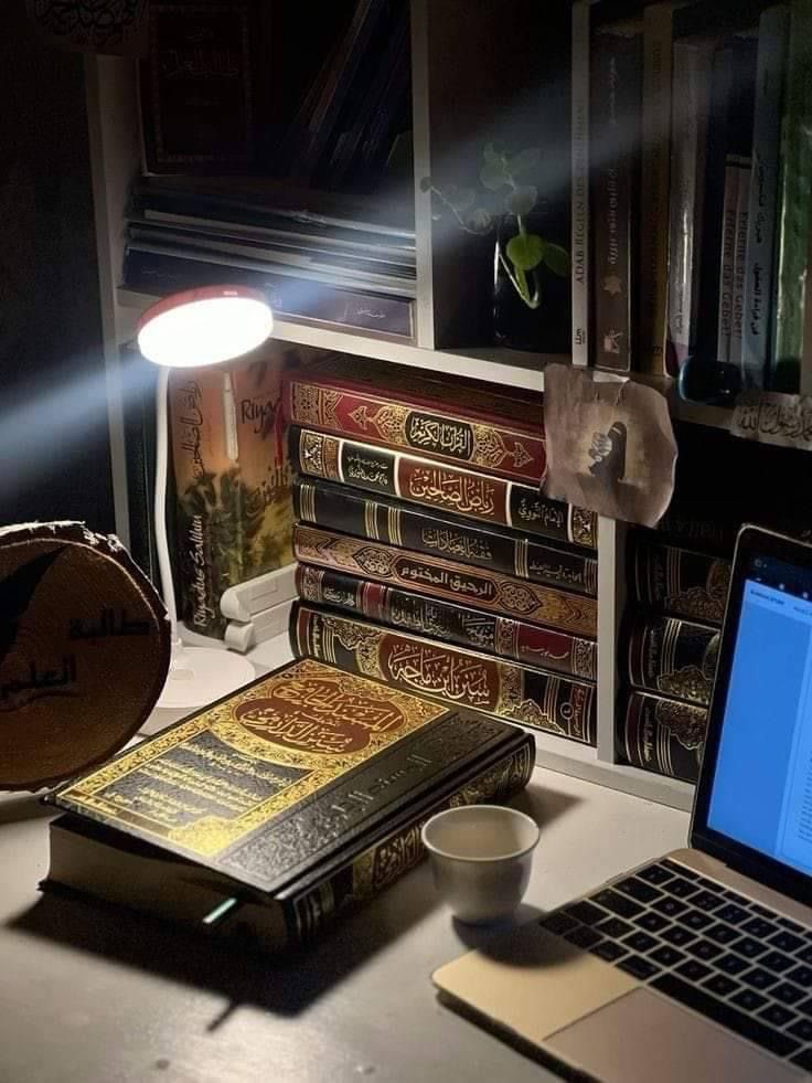 the road is long, comfort is temporary and the warmth of people will fade. so whoever is not in the remembrance of Allah is truly lost.

#Quran 
#LaVeladaDelAnoV