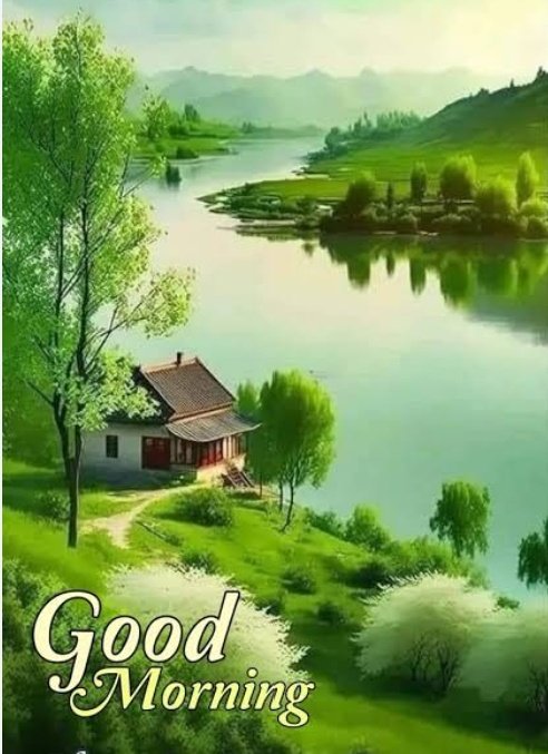 Pradeep16217665's tweet image. Good morning dear X friends
🌄🙏🏻