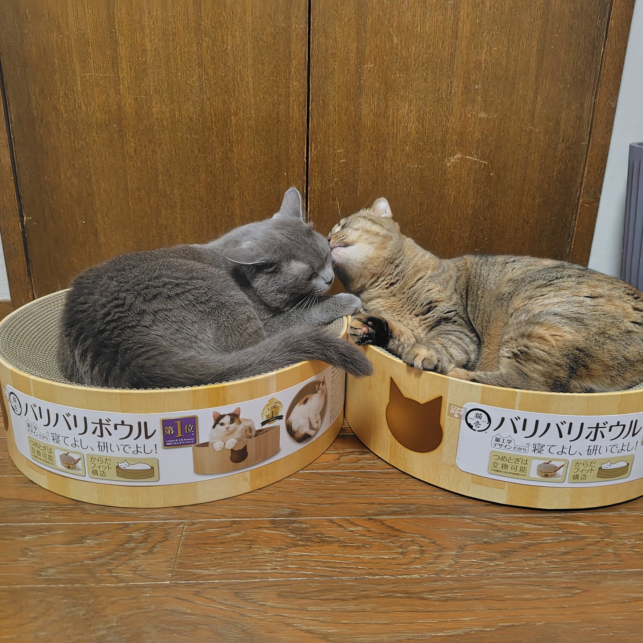 ねこ。　様　専用ページ REP-600 - 製品情報 | musashi（ムサシ） - 日本一のセンサー