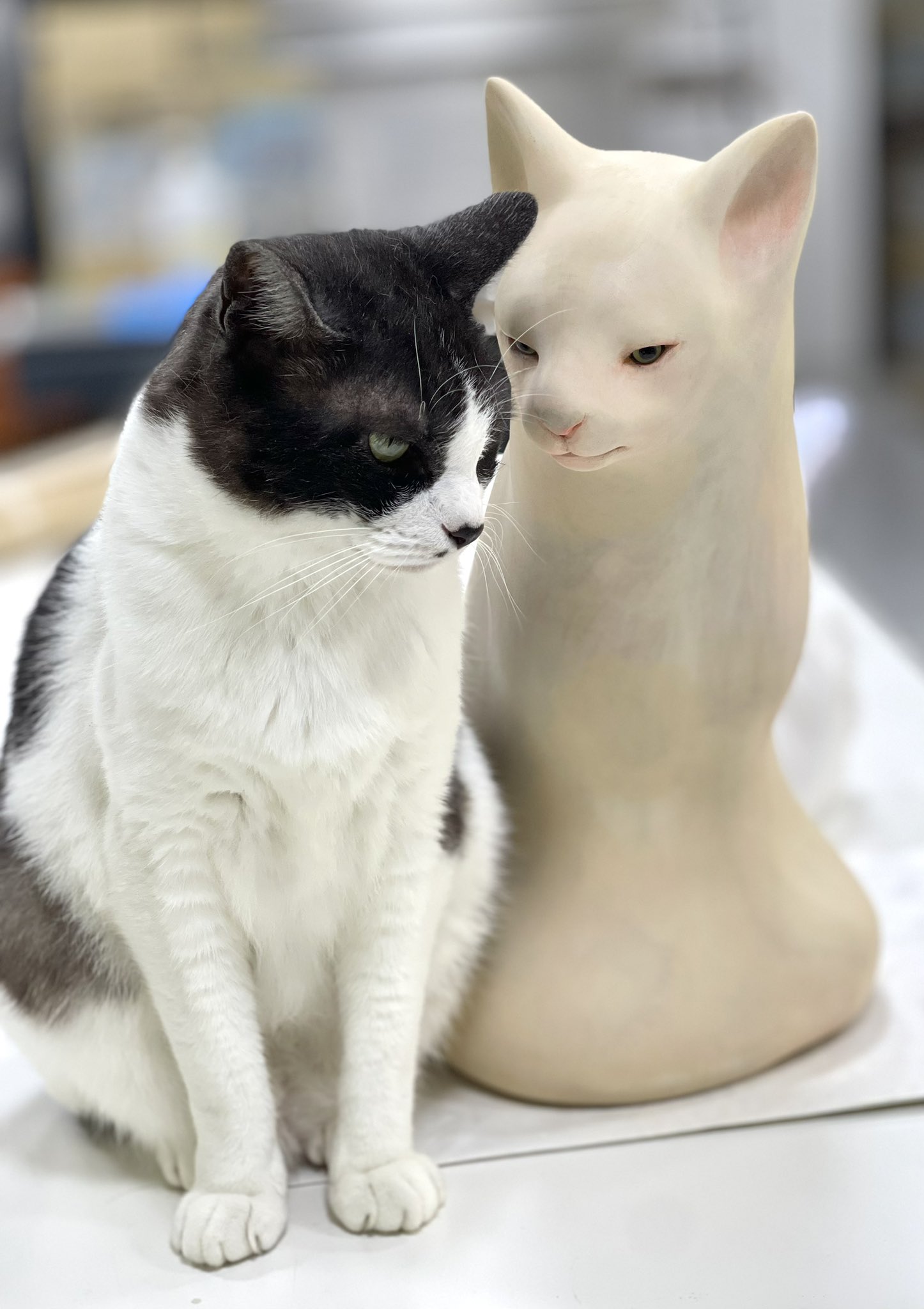 雨*猫様 画像追加しました。さらに値下げ❗️値下げ❗️アンティークミシンです moo on X: 