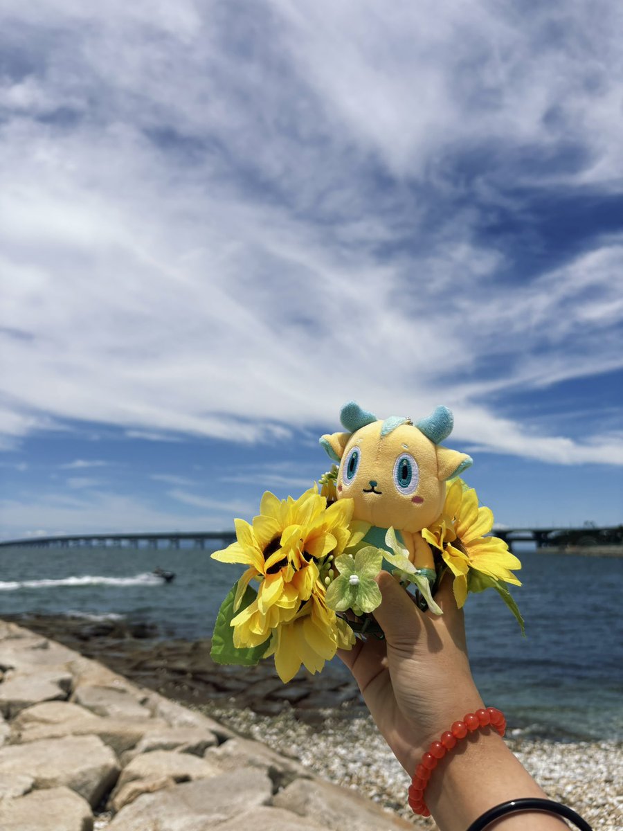 pause_zz's tweet image. 夏だねぇ
