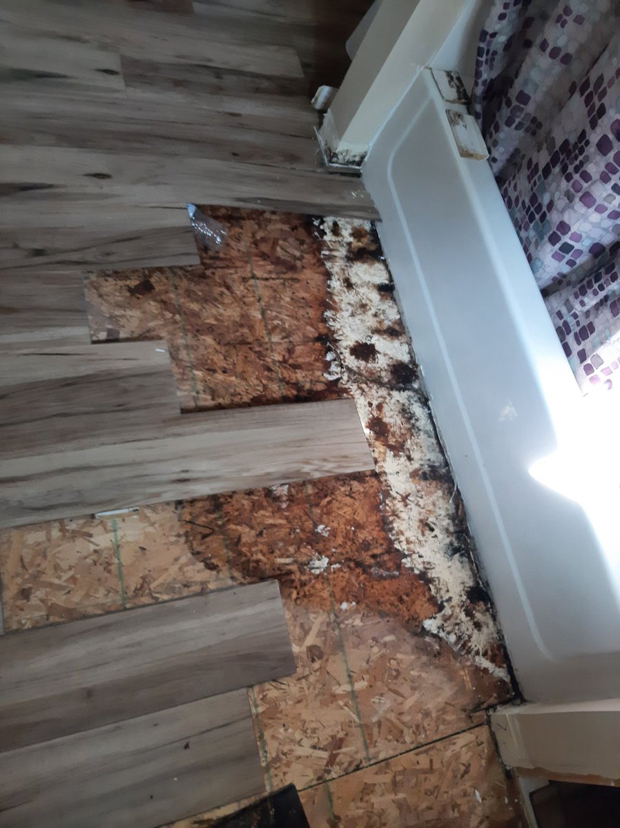KonSlayer_GW's tweet image. Got to see my landlords subflooring qnd flooring skills first hand🙄 jkjk, it happens, least he came to look.
The caulking kept falling away from the bead. Then the floor started getting squishy. Bro starts talking about hiring someone, and I'm like, u know I'm a certified…