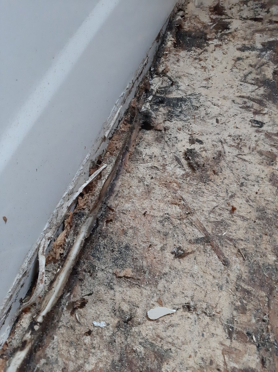 KonSlayer_GW's tweet image. Got to see my landlords subflooring qnd flooring skills first hand🙄 jkjk, it happens, least he came to look.
The caulking kept falling away from the bead. Then the floor started getting squishy. Bro starts talking about hiring someone, and I'm like, u know I'm a certified…