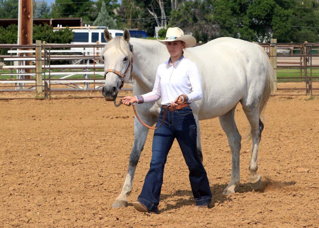 2025 Horse Showmanship Sheridan Fair sheridanmedia.com/media-2/photos…
