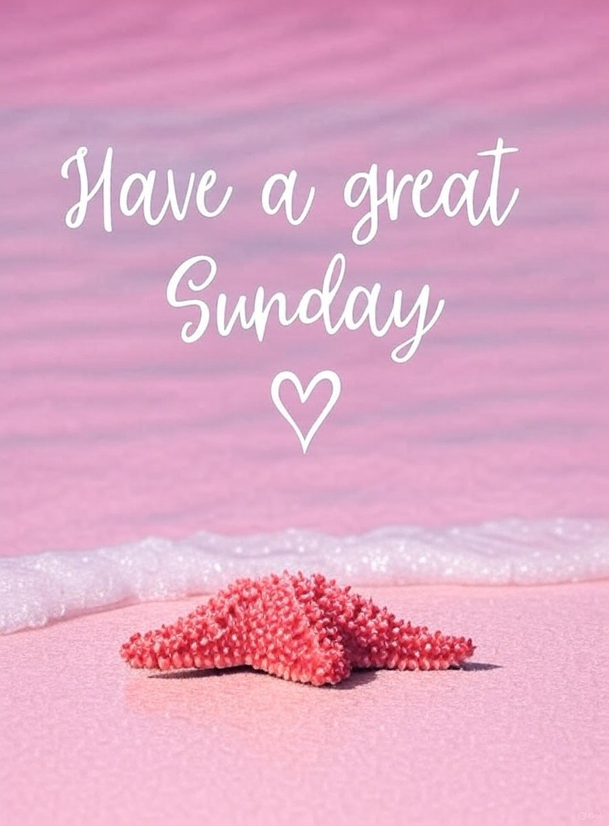 MANTRA_Intern's tweet image. Sunday funday.

Tomorrow we grind. $OM 🫡🕉️