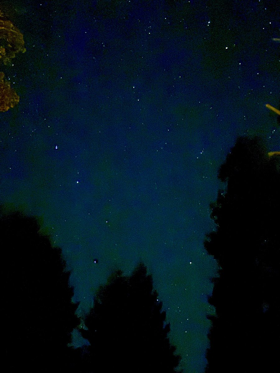 Sopheverafter's tweet image. Great evening for a family fire 🔥 and star gazing ✨💫
Good night everyone ✨💫😴
