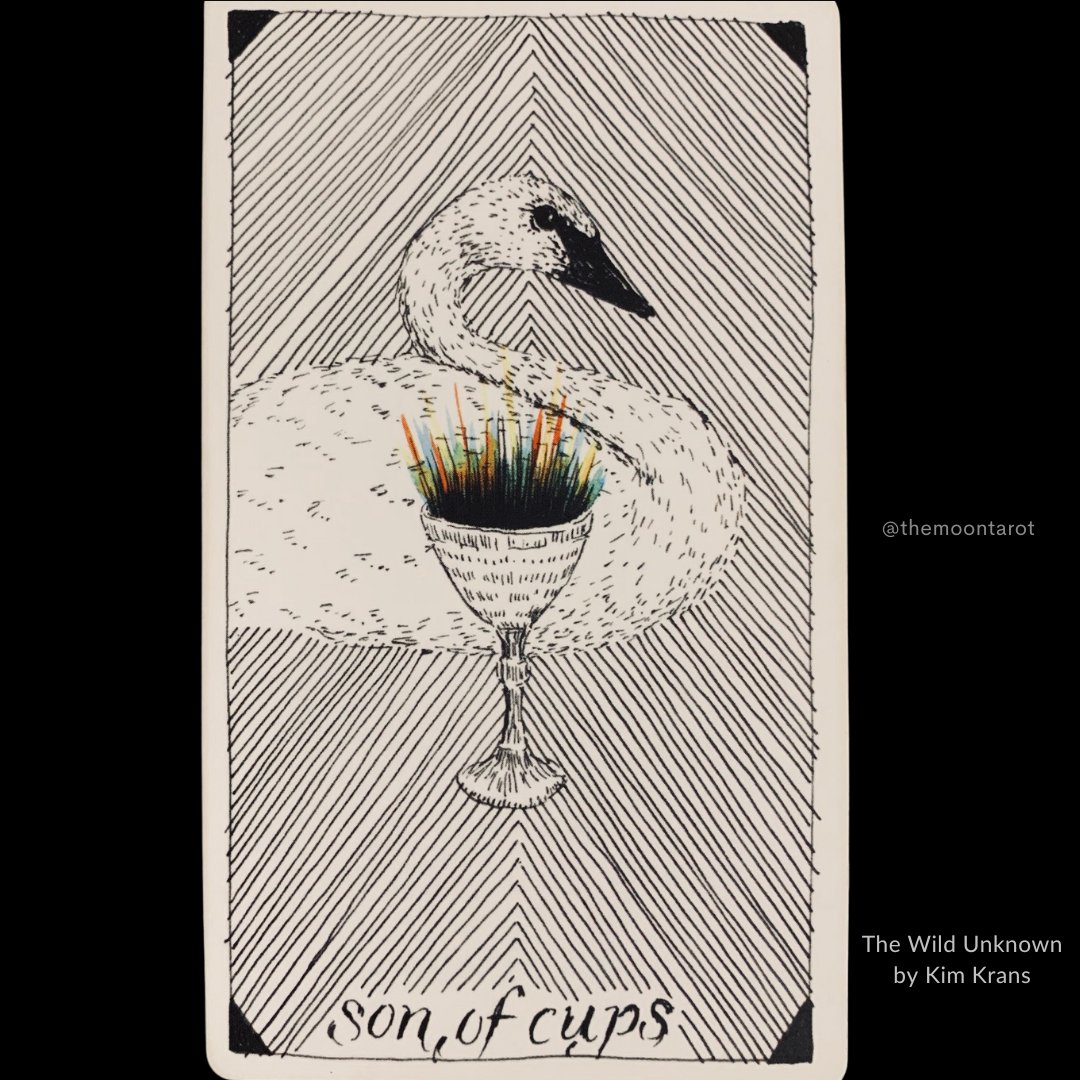 themoontarot_'s tweet image. Today&apos;s Energy Reading: July 26, 2025