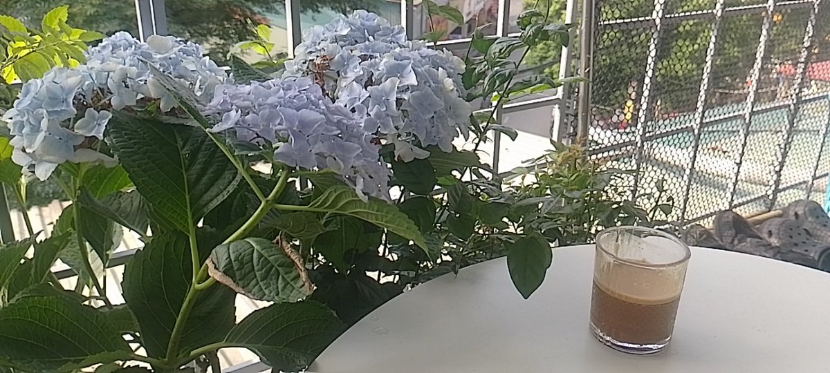 Một ngày nắng đẹp nhẹ nhàng. Cà phê trứng cuối tuần. Mời cả nhà thưởng thức
#healingbyhands