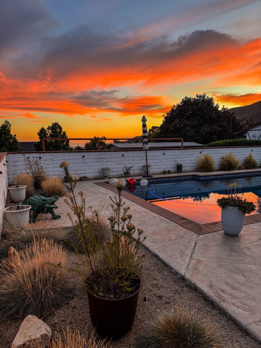 FirePhotoGirl tweet media